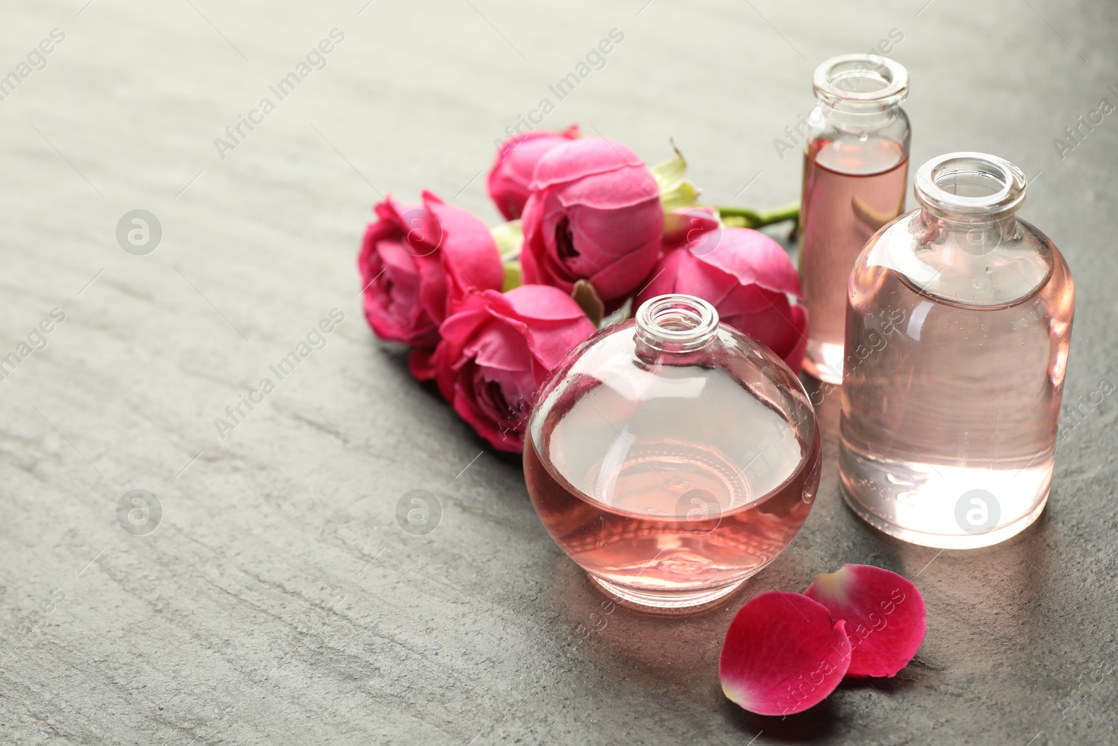 Open perfume bottles with aromatic essential oils and roses on grey textured table, closeup. Space for text Photo of Open perfume bottles with aromatic essential oils and roses on grey textured table, closeup. Space for text