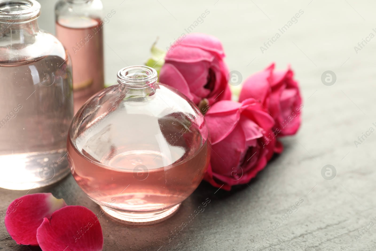 Open perfume bottles with aromatic essential oils and roses on grey textured table, closeup Photo of Open perfume bottles with aromatic essential oils and roses on grey textured table, closeup