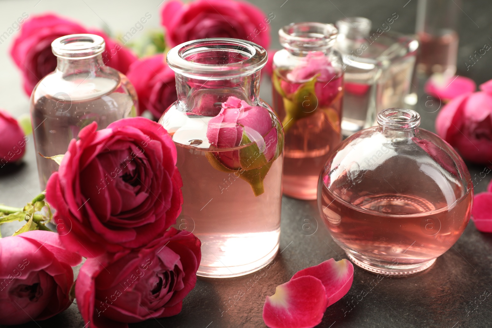 Open perfume bottles with aromatic essential oils and roses on grey textured table, closeup Photo of Open perfume bottles with aromatic essential oils and roses on grey textured table, closeup