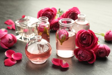 Photo of Open perfume bottles with aromatic essential oils and roses on grey textured table, closeup