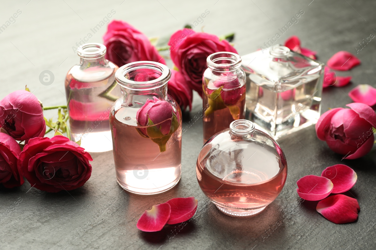 Open perfume bottles with aromatic essential oils and roses on grey textured table, closeup Photo of Open perfume bottles with aromatic essential oils and roses on grey textured table, closeup
