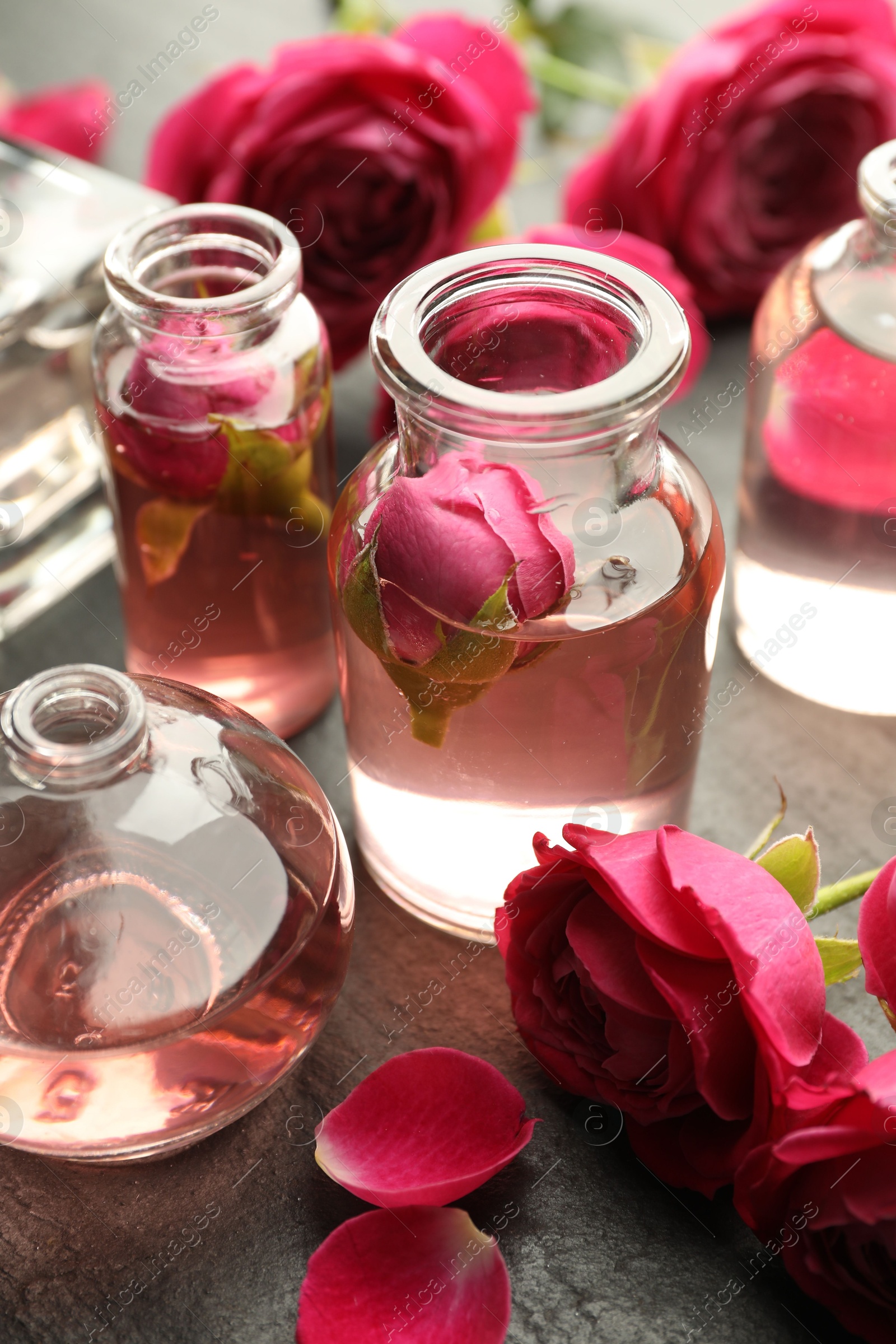 Open perfume bottles with aromatic essential oils and roses on grey textured table, closeup Photo of Open perfume bottles with aromatic essential oils and roses on grey textured table, closeup