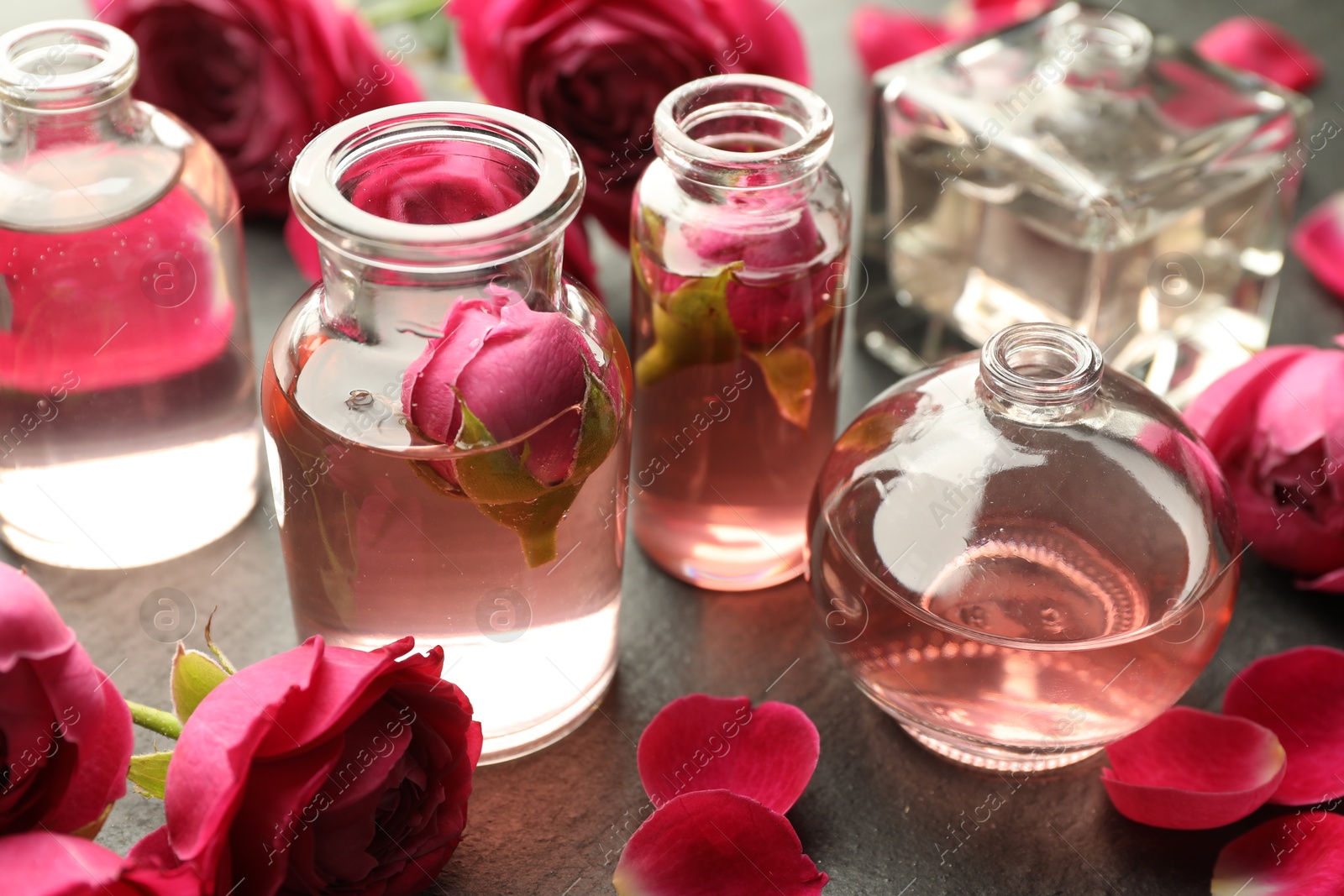 Open perfume bottles with aromatic essential oils and roses on grey textured table, closeup Photo of Open perfume bottles with aromatic essential oils and roses on grey textured table, closeup