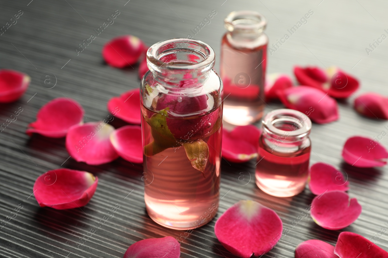 Open perfume bottles with aromatic essential oils and rose petals on grey wooden table, closeup Photo of Open perfume bottles with aromatic essential oils and rose petals on grey wooden table, closeup