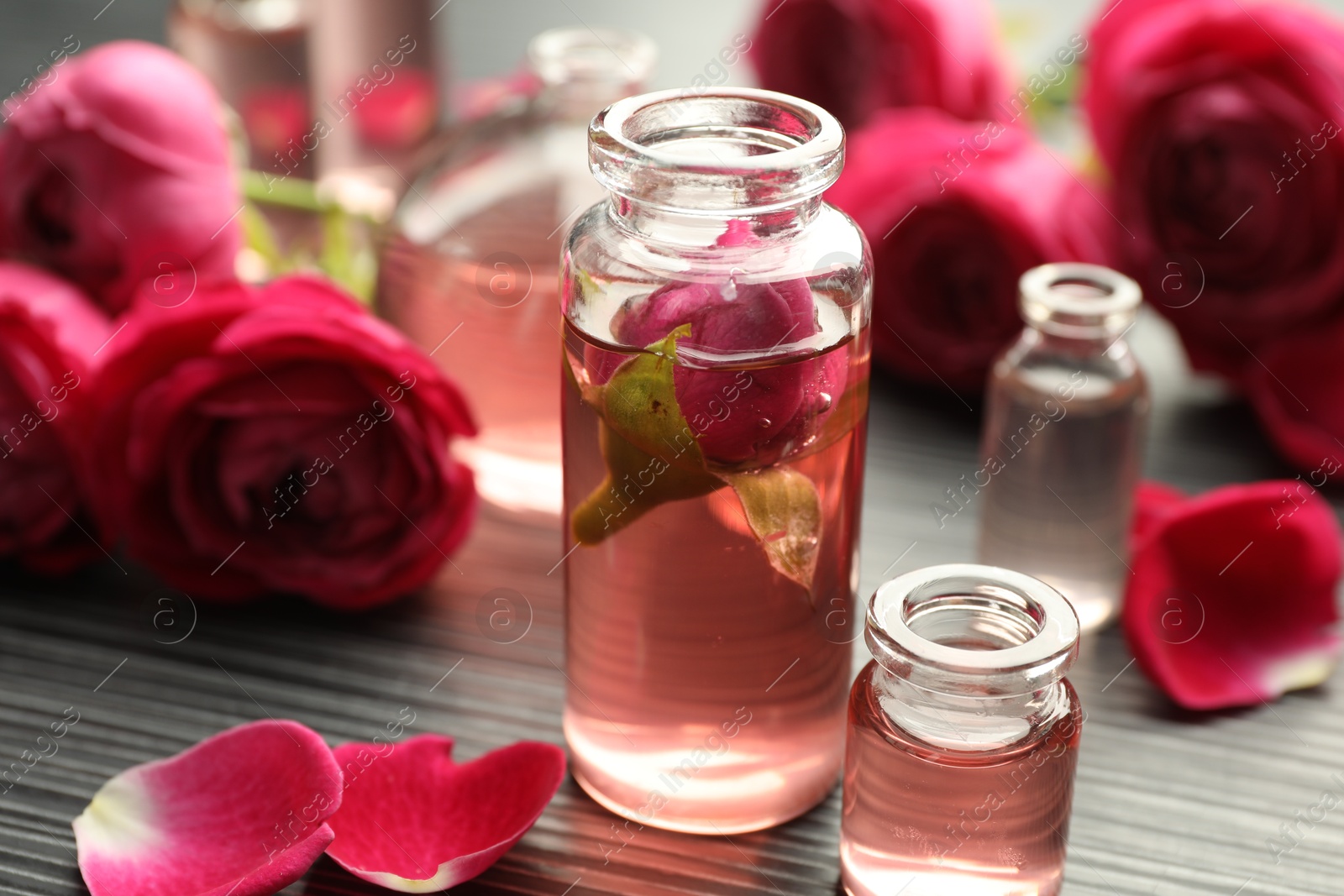 Open perfume bottles with aromatic essential oils and roses on grey wooden table, closeup Photo of Open perfume bottles with aromatic essential oils and roses on grey wooden table, closeup