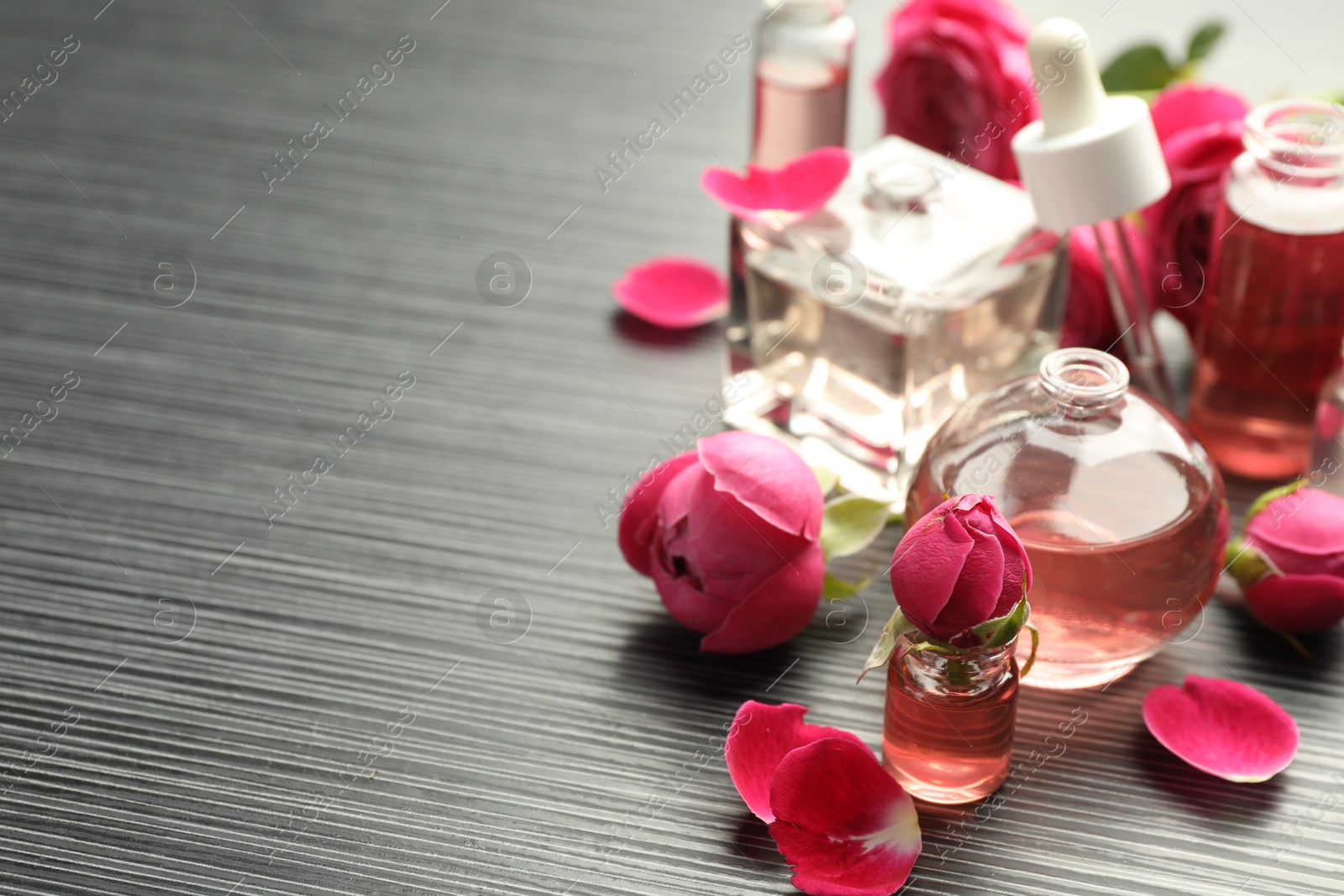 Open perfume bottles with aromatic essential oils and roses on grey wooden table, closeup. Space for text Photo of Open perfume bottles with aromatic essential oils and roses on grey wooden table, closeup. Space for text
