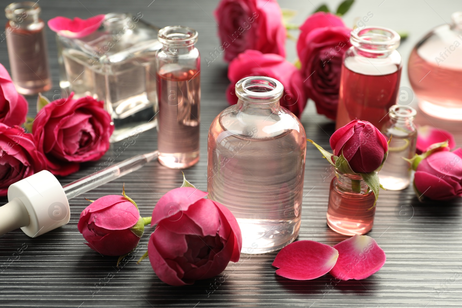 Open perfume bottles with aromatic essential oils and roses on grey wooden table, closeup Photo of Open perfume bottles with aromatic essential oils and roses on grey wooden table, closeup