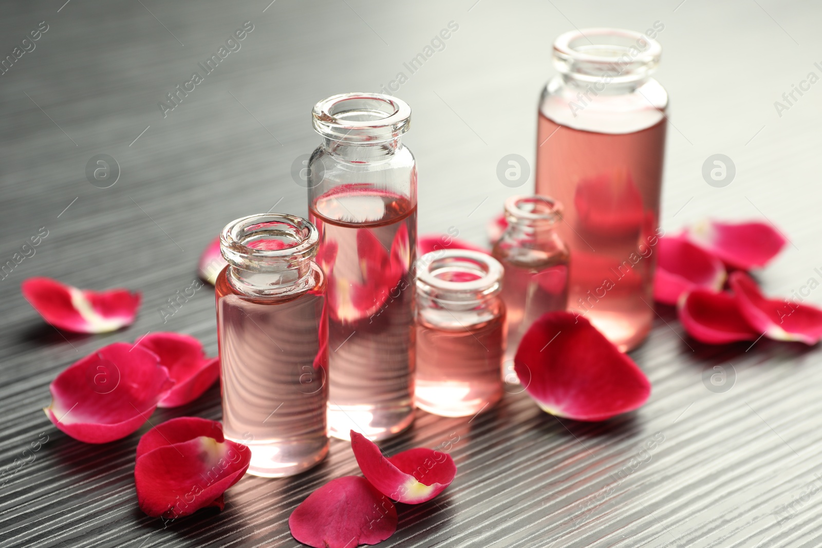 Open perfume bottles with aromatic essential oils and rose petals on grey wooden table, closeup Photo of Open perfume bottles with aromatic essential oils and rose petals on grey wooden table, closeup