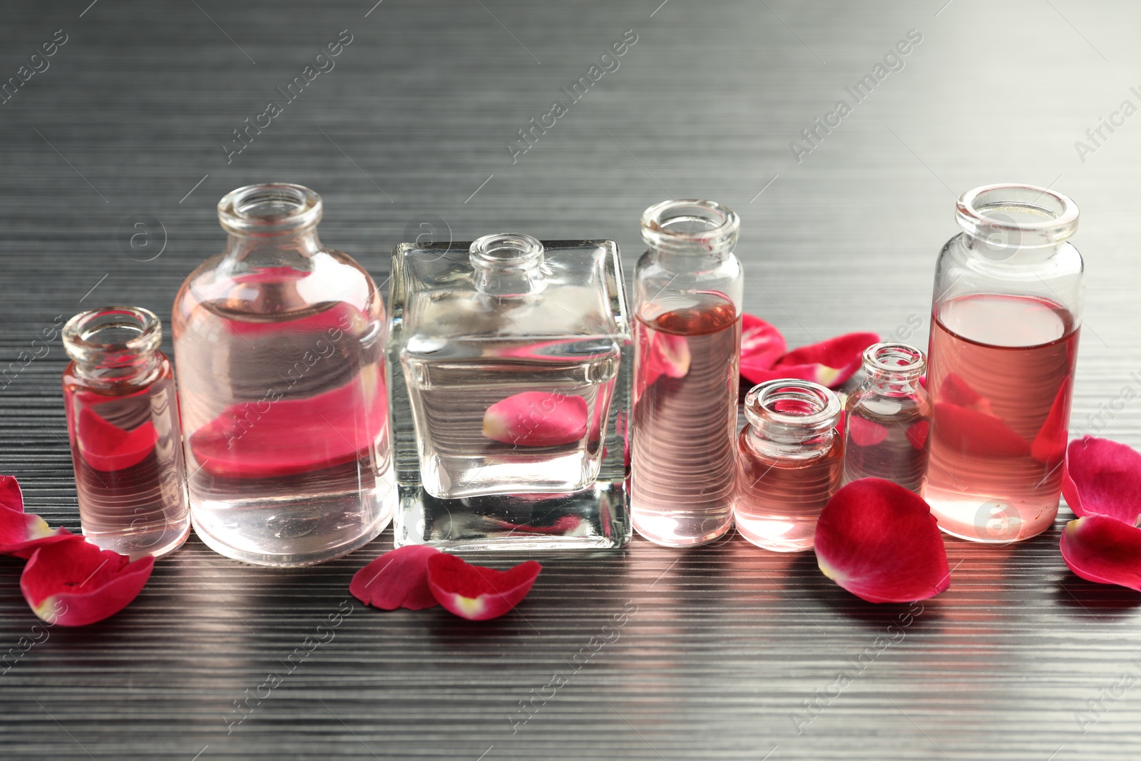 Open perfume bottles with aromatic essential oils and rose petals on grey wooden table, closeup Photo of Open perfume bottles with aromatic essential oils and rose petals on grey wooden table, closeup
