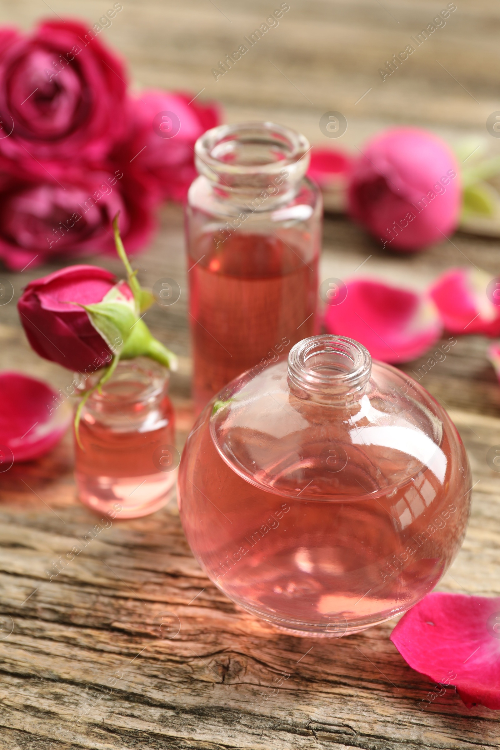 Open perfume bottles with aromatic essential oils and roses on wooden table, closeup Photo of Open perfume bottles with aromatic essential oils and roses on wooden table, closeup