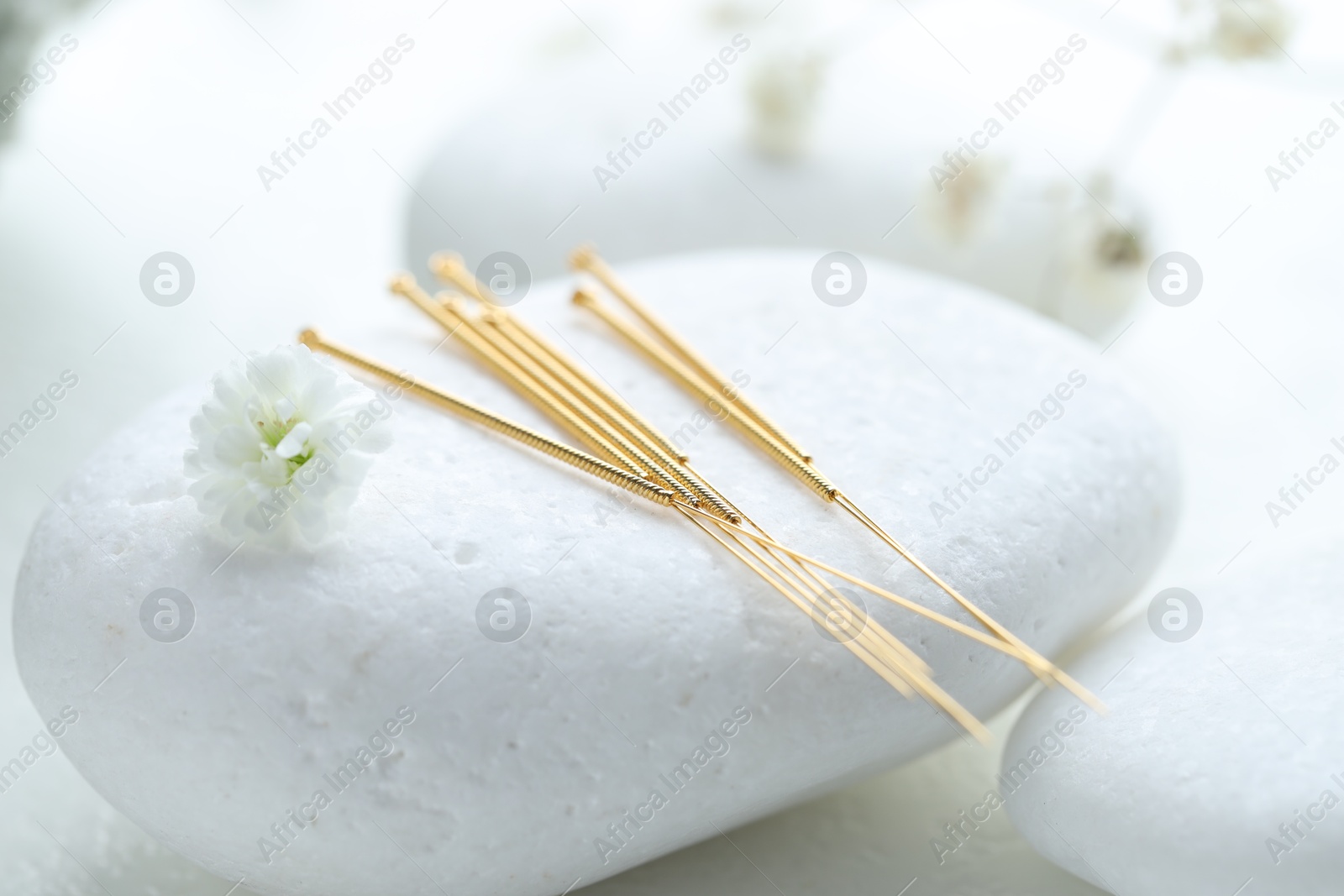 Acupuncture needles, pebble stone and flower bud on white background, closeup Photo of Acupuncture needles, pebble stone and flower bud on white background, closeup