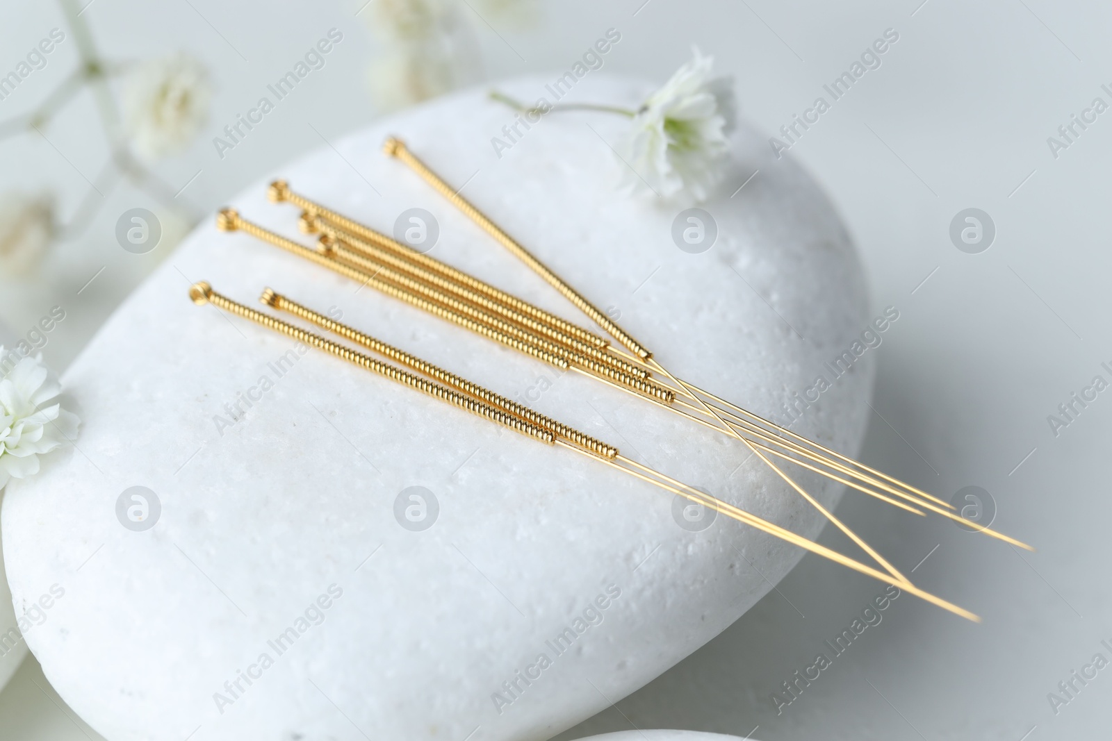 Acupuncture needles, pebble stone and flowers on light table, closeup Photo of Acupuncture needles, pebble stone and flowers on light table, closeup