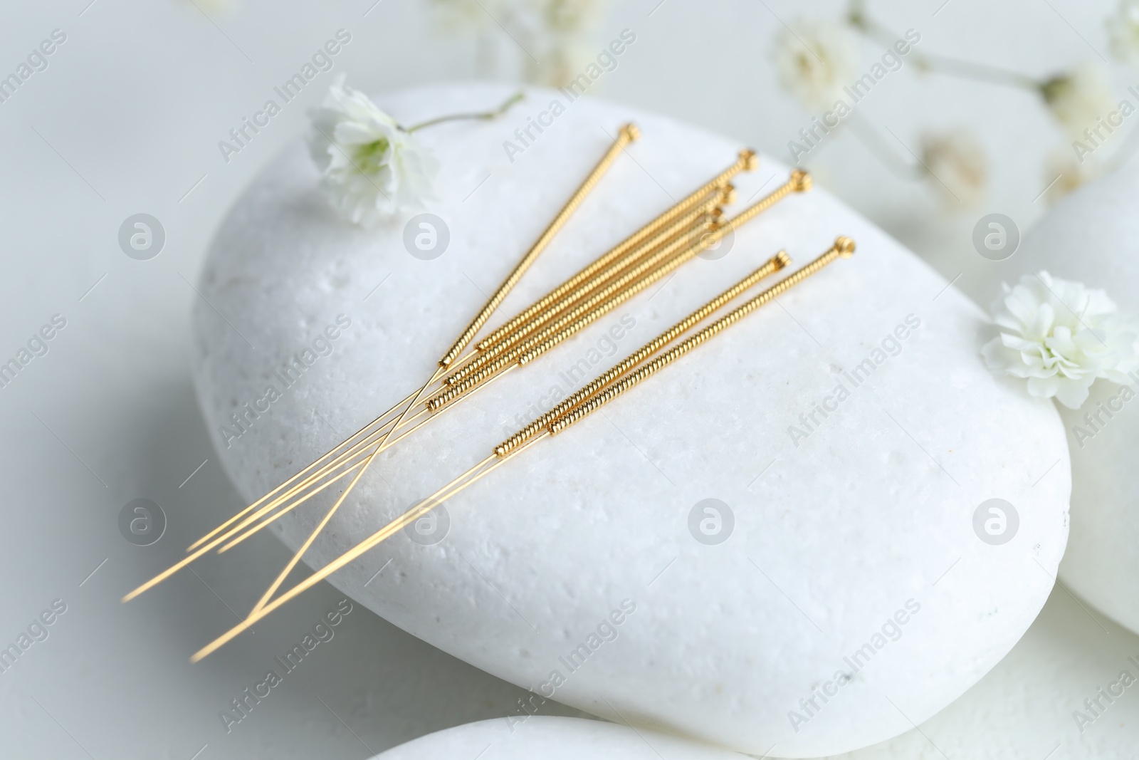 Acupuncture needles, pebble stone and flowers on light table, closeup Photo of Acupuncture needles, pebble stone and flowers on light table, closeup