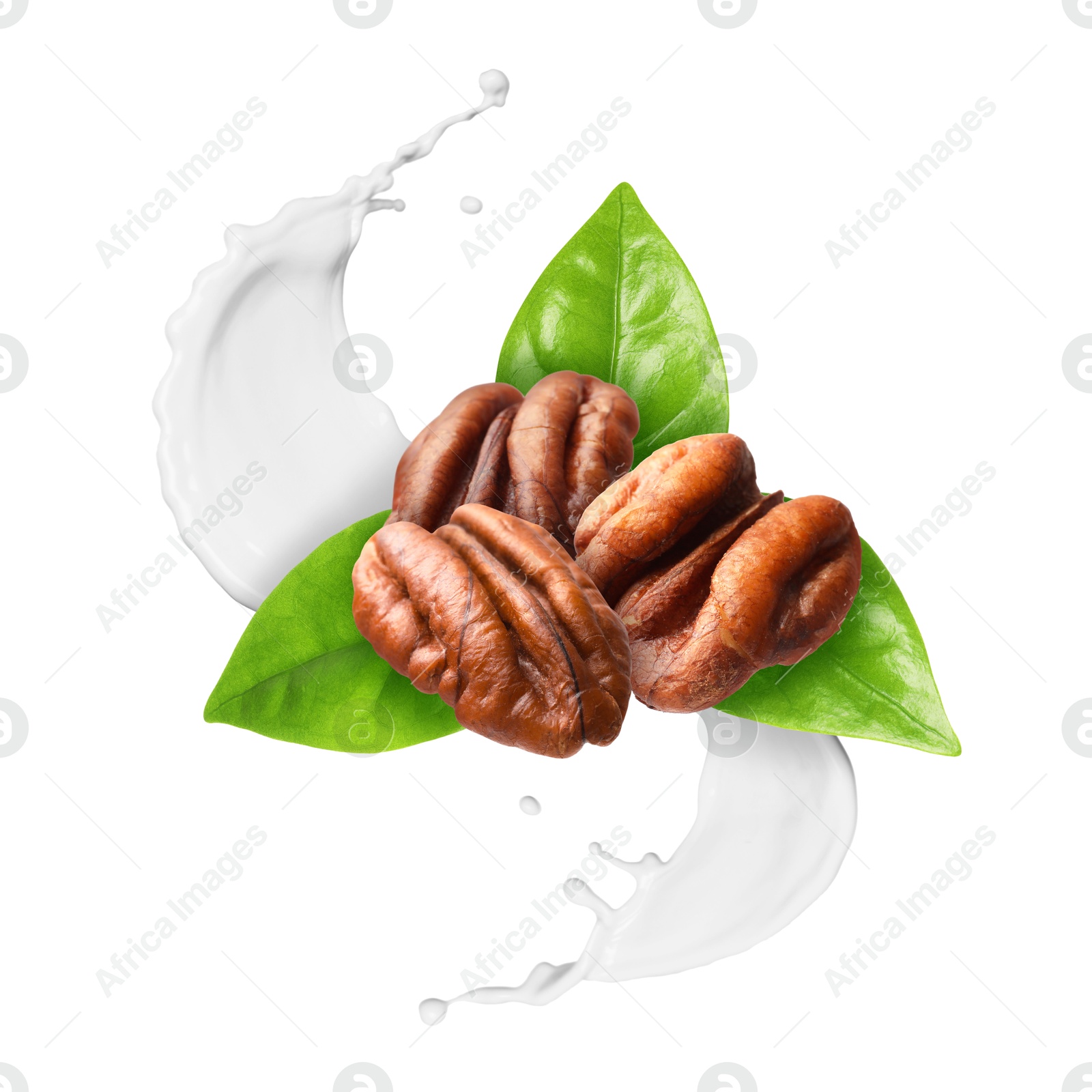 Nut milk splash with pecans and green leaves on white background Image of Nut milk splash with pecans and green leaves on white background