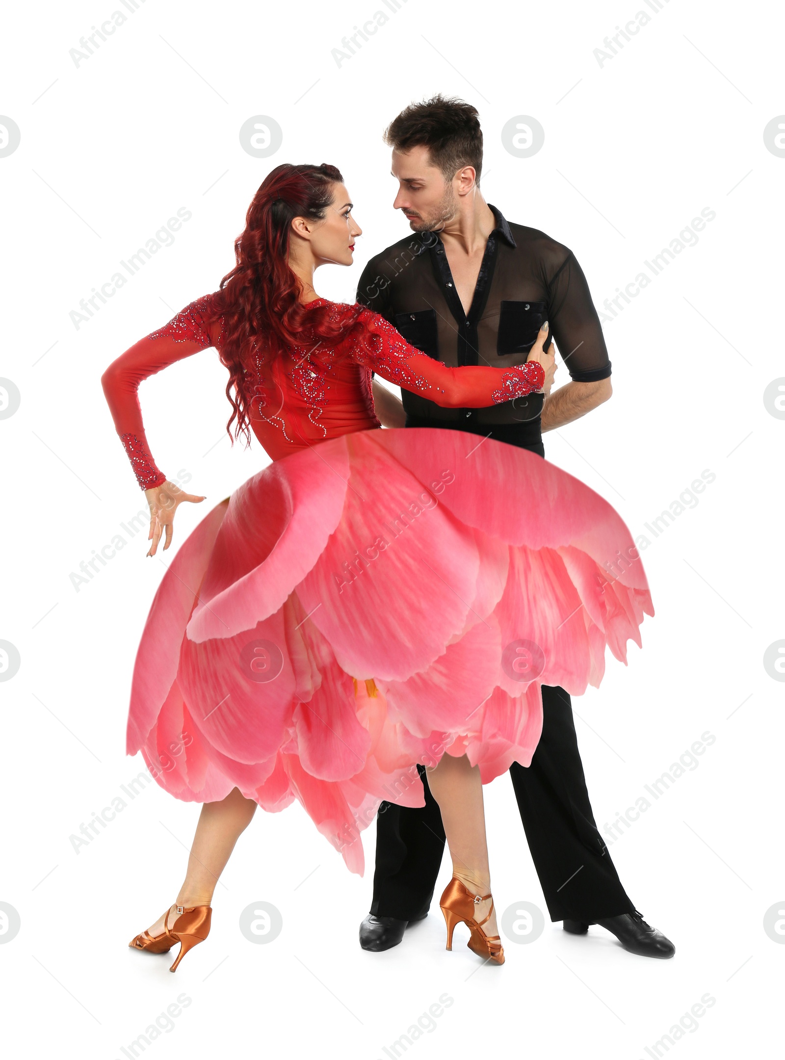 Passionate young couple dancing on white background. Peony flower instead of woman's skirt Image of Passionate young couple dancing on white background. Peony flower instead of woman's skirt
