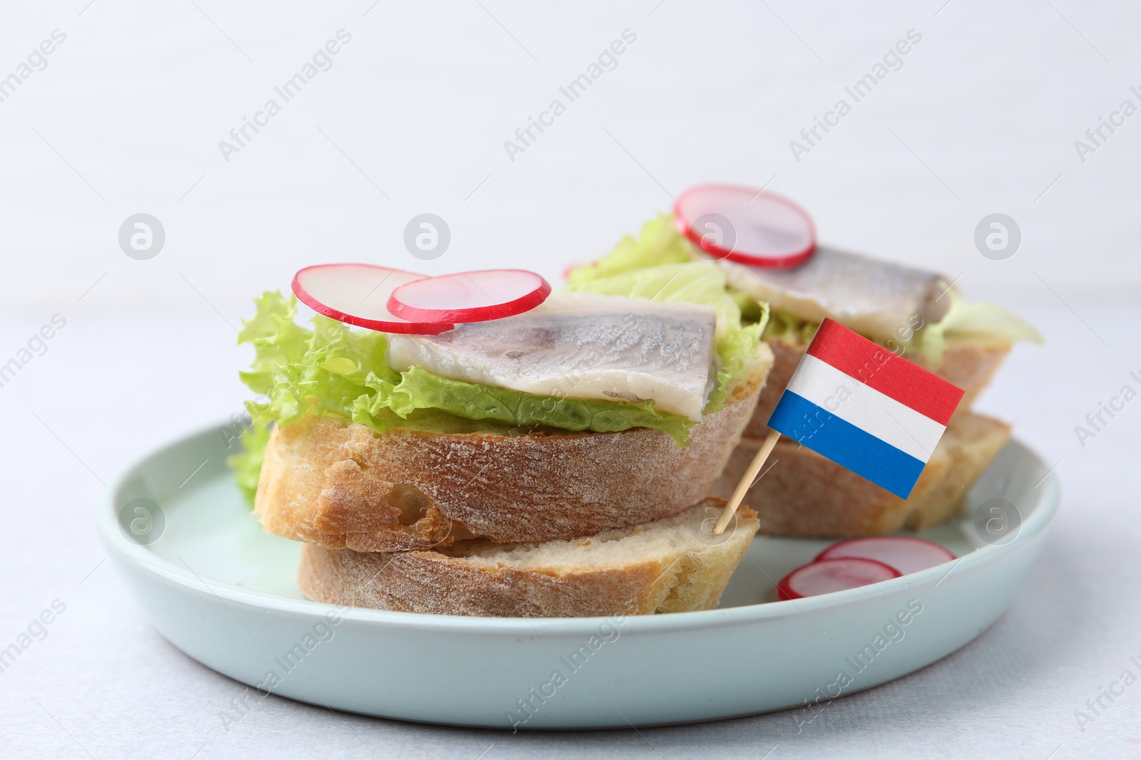 Tasty sandwiches with herring and flag of Netherlands on white background Image of Tasty sandwiches with herring and flag of Netherlands on white background