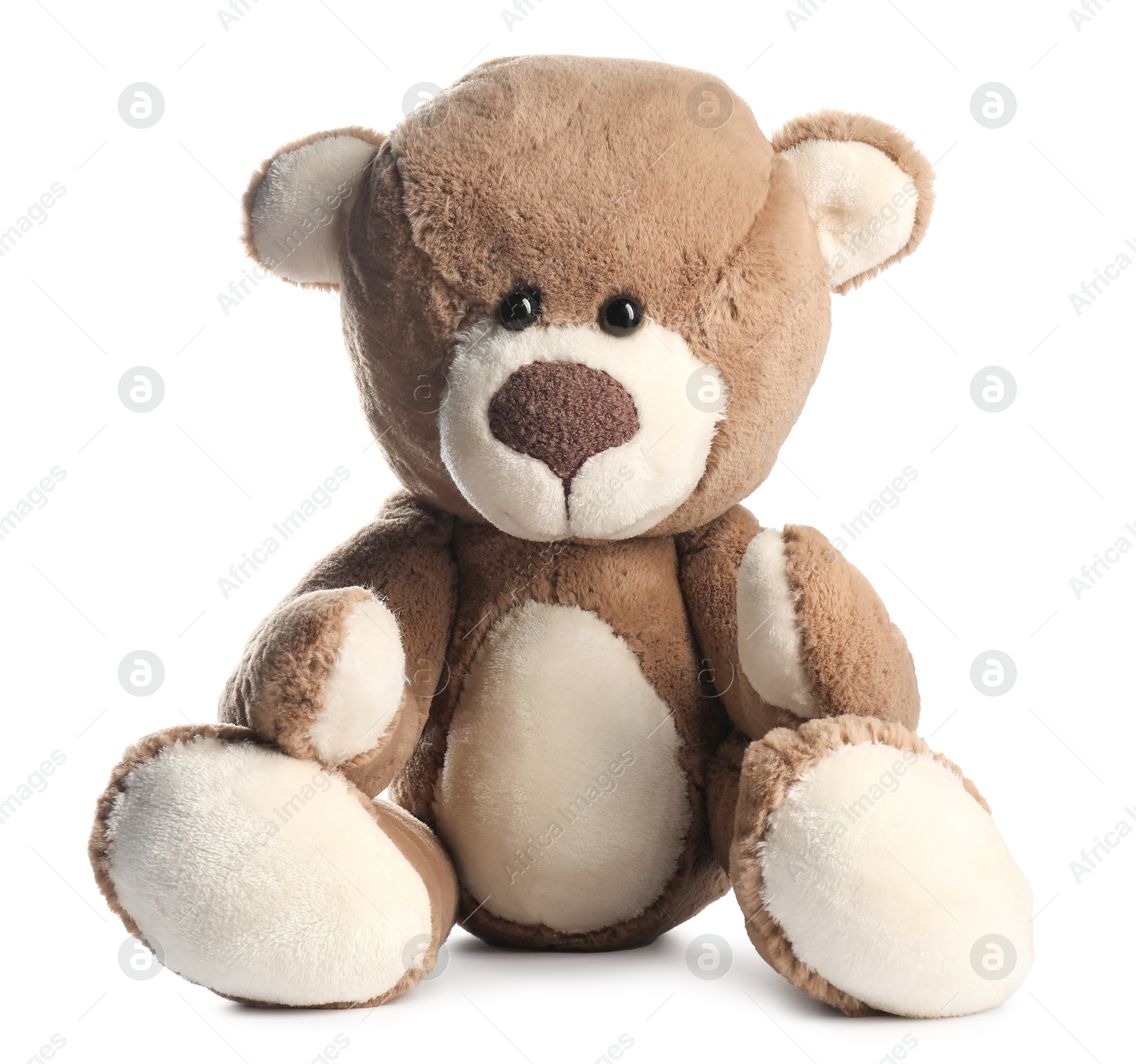Cute teddy bear isolated on white. Stuffed animal Photo of Cute teddy bear isolated on white. Stuffed animal