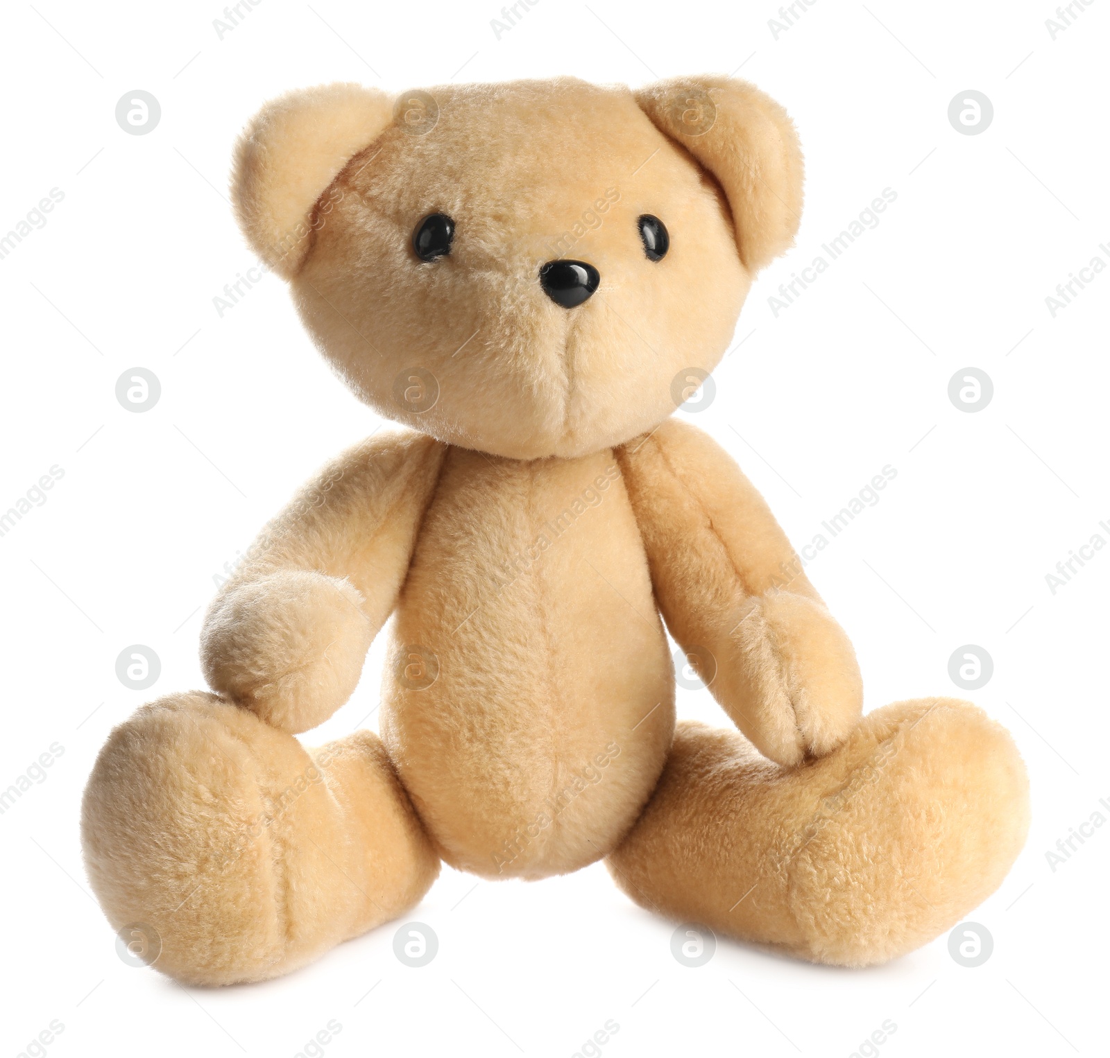 Cute teddy bear isolated on white. Stuffed animal Photo of Cute teddy bear isolated on white. Stuffed animal