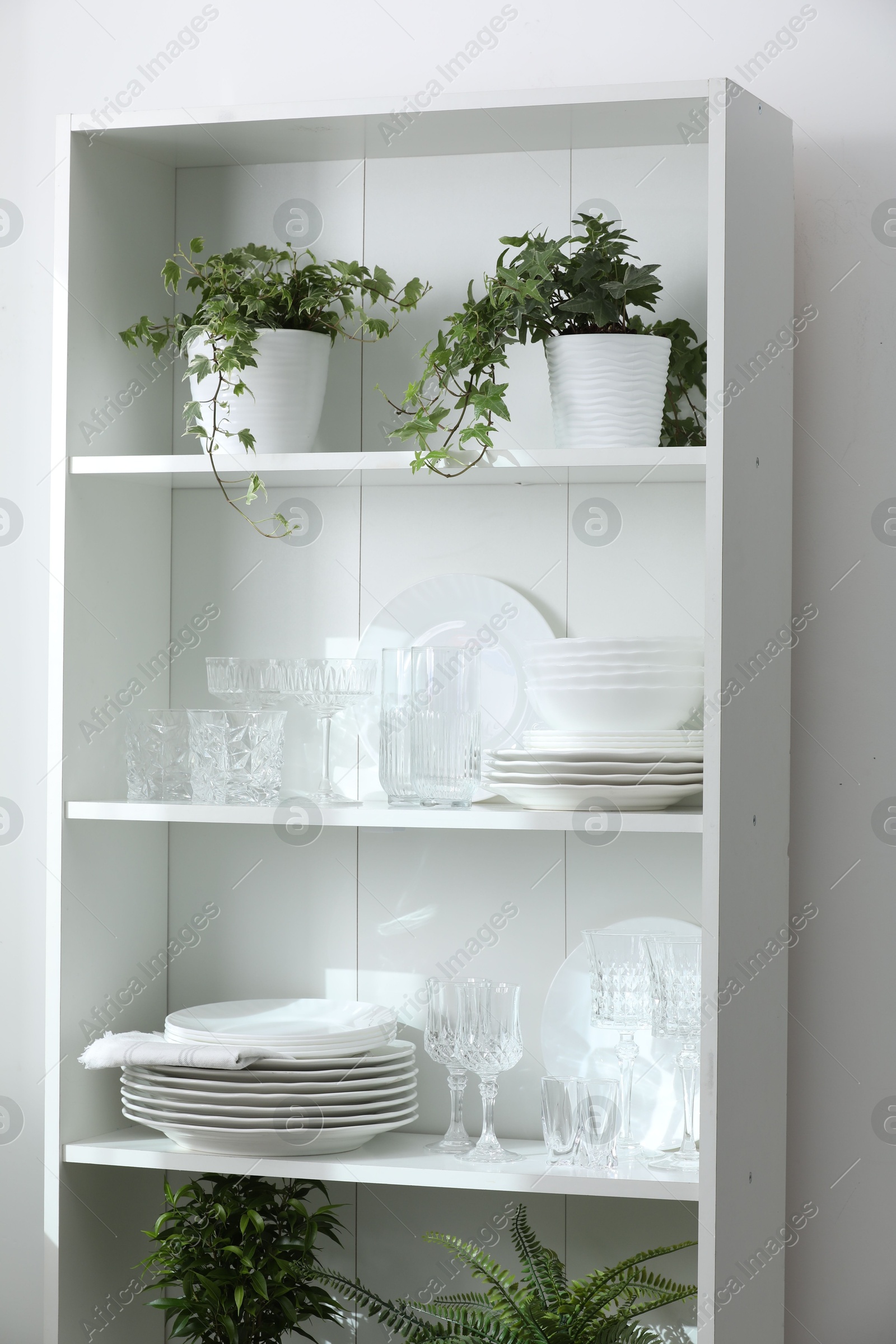 Clean glasses, plates and green houseplants on shelves near white wall indoors Photo of Clean glasses, plates and green houseplants on shelves near white wall indoors