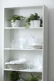 Photo of Clean glasses, plates and green houseplants on shelves near white wall indoors