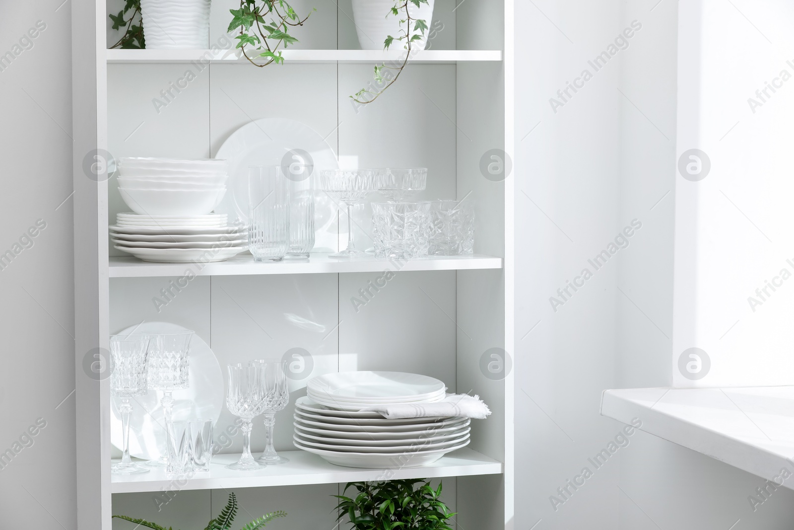 Clean glasses, plates and green houseplants on shelves near white wall indoors Photo of Clean glasses, plates and green houseplants on shelves near white wall indoors