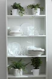 Photo of Clean glasses, plates and green houseplants on shelves near white wall indoors