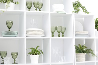 Photo of Clean glasses, plates and green houseplants on shelves near white wall indoors