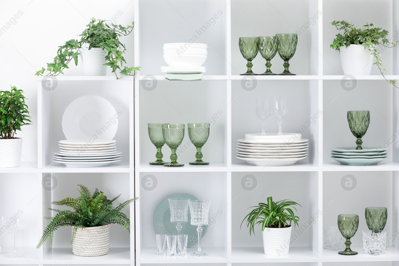 Clean glasses, plates and green houseplants on shelves near white wall indoors Photo of Clean glasses, plates and green houseplants on shelves near white wall indoors