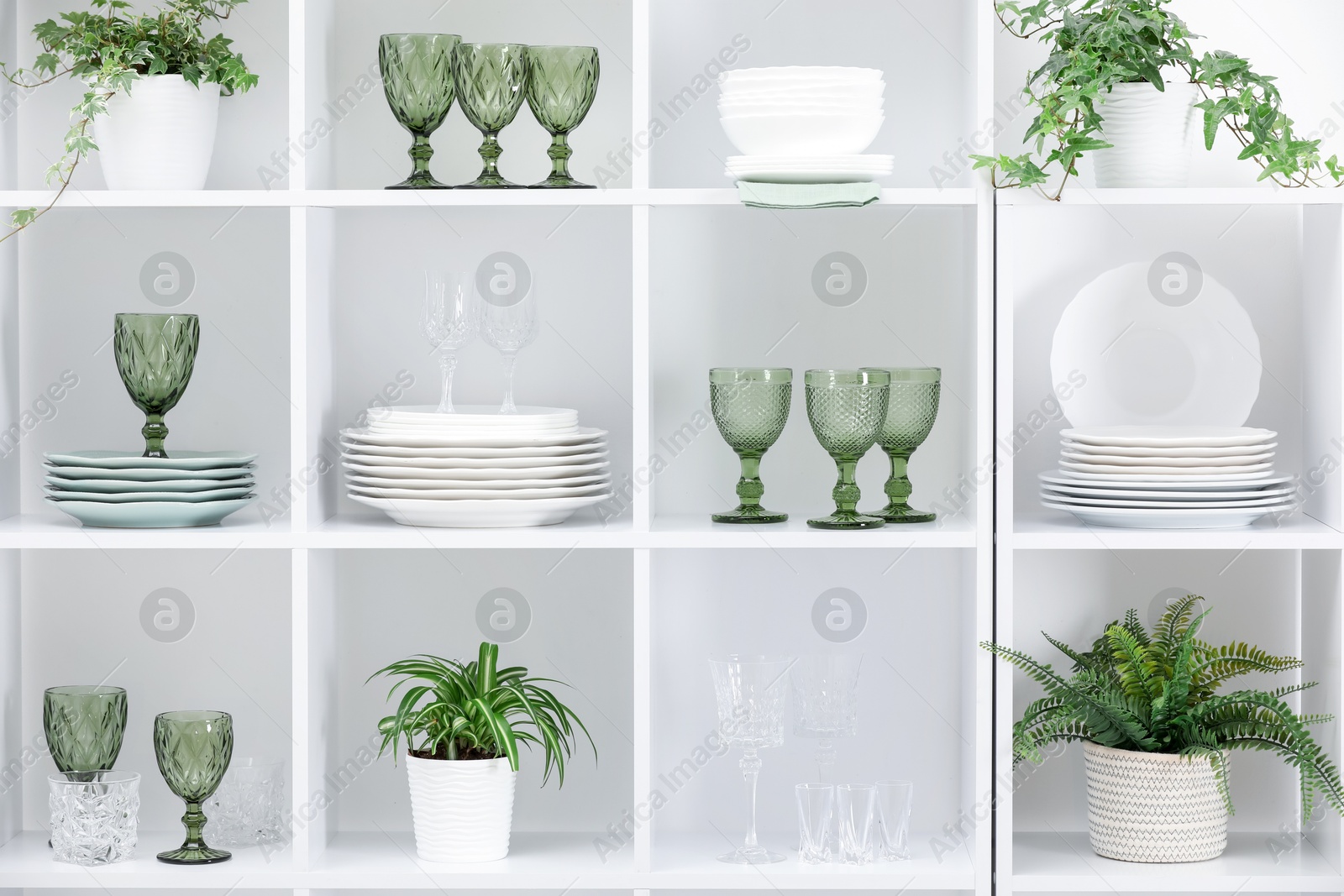 Clean glasses, plates and green houseplants on shelves near white wall indoors Photo of Clean glasses, plates and green houseplants on shelves near white wall indoors