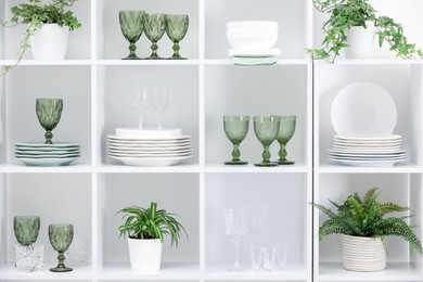 Photo of Clean glasses, plates and green houseplants on shelves near white wall indoors