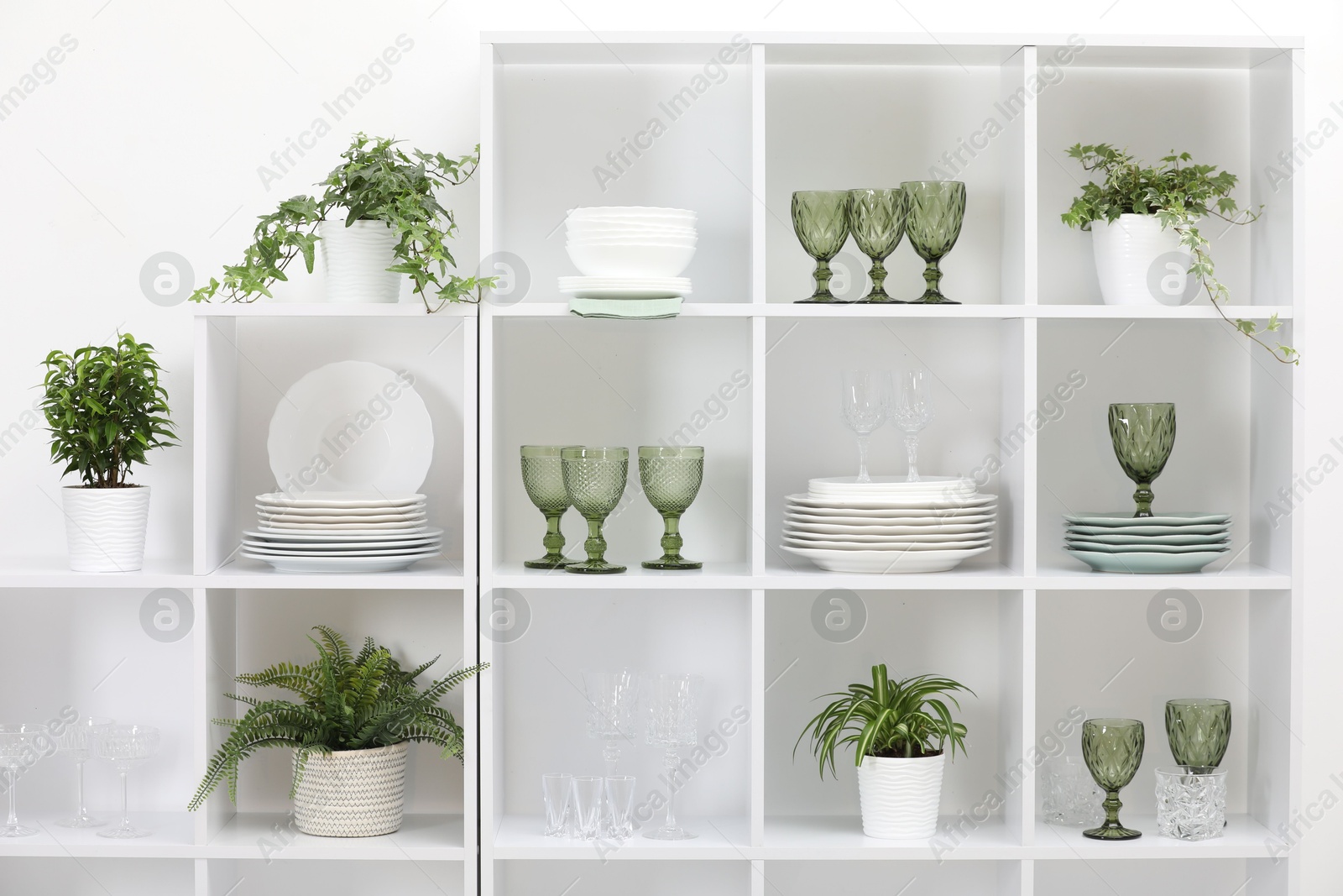 Clean glasses, plates and green houseplants on shelves near white wall indoors Photo of Clean glasses, plates and green houseplants on shelves near white wall indoors