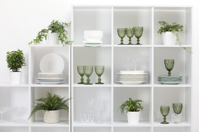 Photo of Clean glasses, plates and green houseplants on shelves near white wall indoors