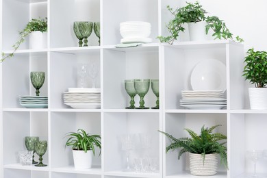 Photo of Clean glasses, plates and green houseplants on shelves near white wall indoors