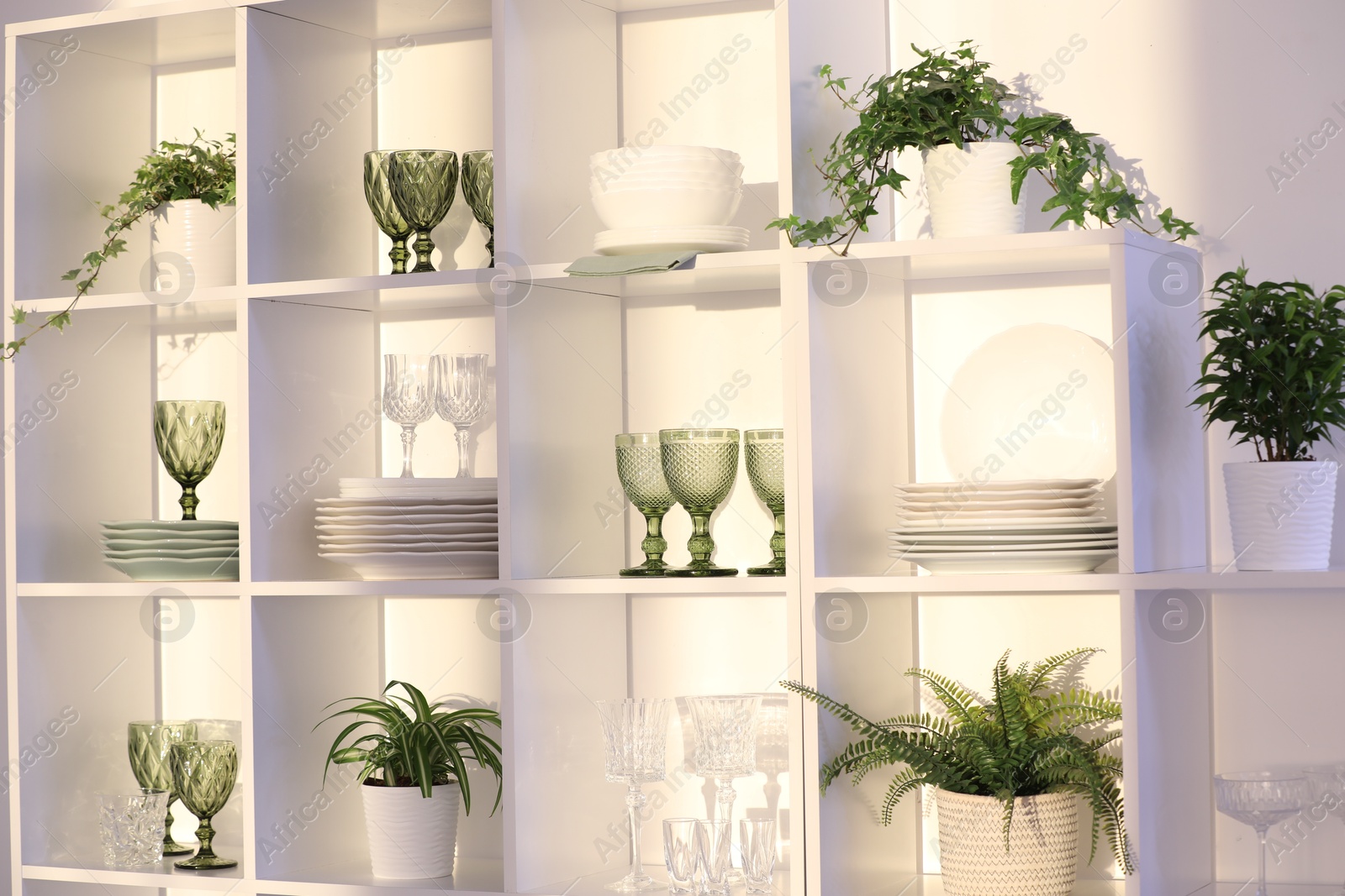 Clean glasses, plates and green houseplants on shelves near white wall indoors Photo of Clean glasses, plates and green houseplants on shelves near white wall indoors