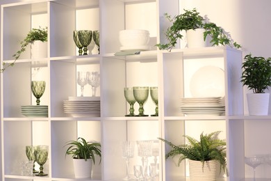 Photo of Clean glasses, plates and green houseplants on shelves near white wall indoors
