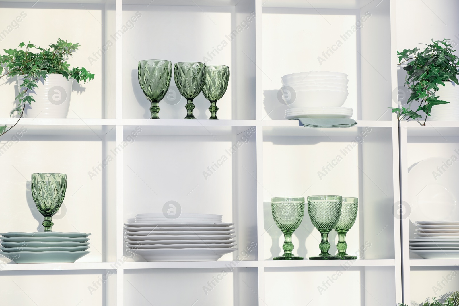 Clean glasses, plates and green houseplants on shelves near white wall indoors Photo of Clean glasses, plates and green houseplants on shelves near white wall indoors