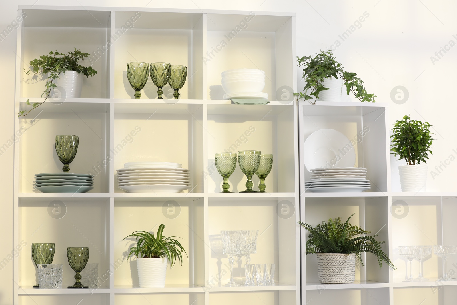 Clean glasses, plates and green houseplants on shelves near white wall indoors Photo of Clean glasses, plates and green houseplants on shelves near white wall indoors
