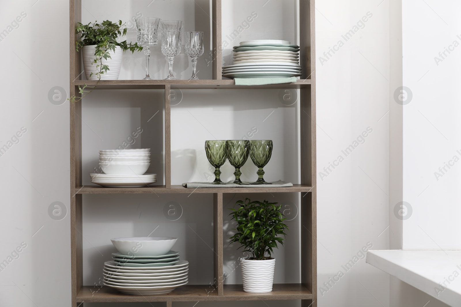 Clean glasses, plates and green houseplants on shelves near white wall indoors Photo of Clean glasses, plates and green houseplants on shelves near white wall indoors