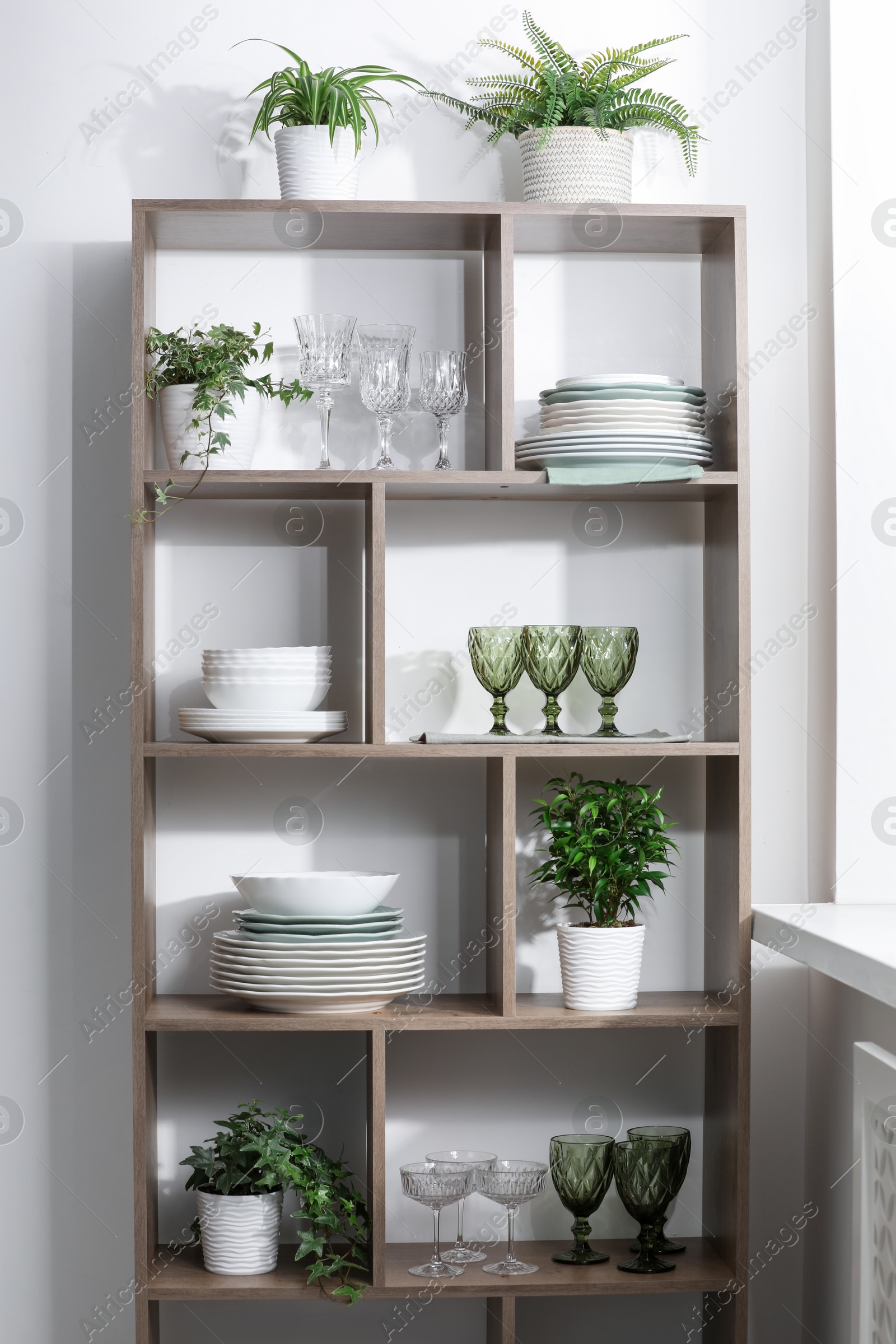 Clean glasses, plates and green houseplants on shelves near white wall indoors Photo of Clean glasses, plates and green houseplants on shelves near white wall indoors