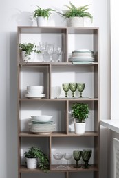 Photo of Clean glasses, plates and green houseplants on shelves near white wall indoors