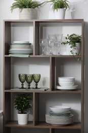 Photo of Clean glasses, plates and green houseplants on shelves near white wall indoors