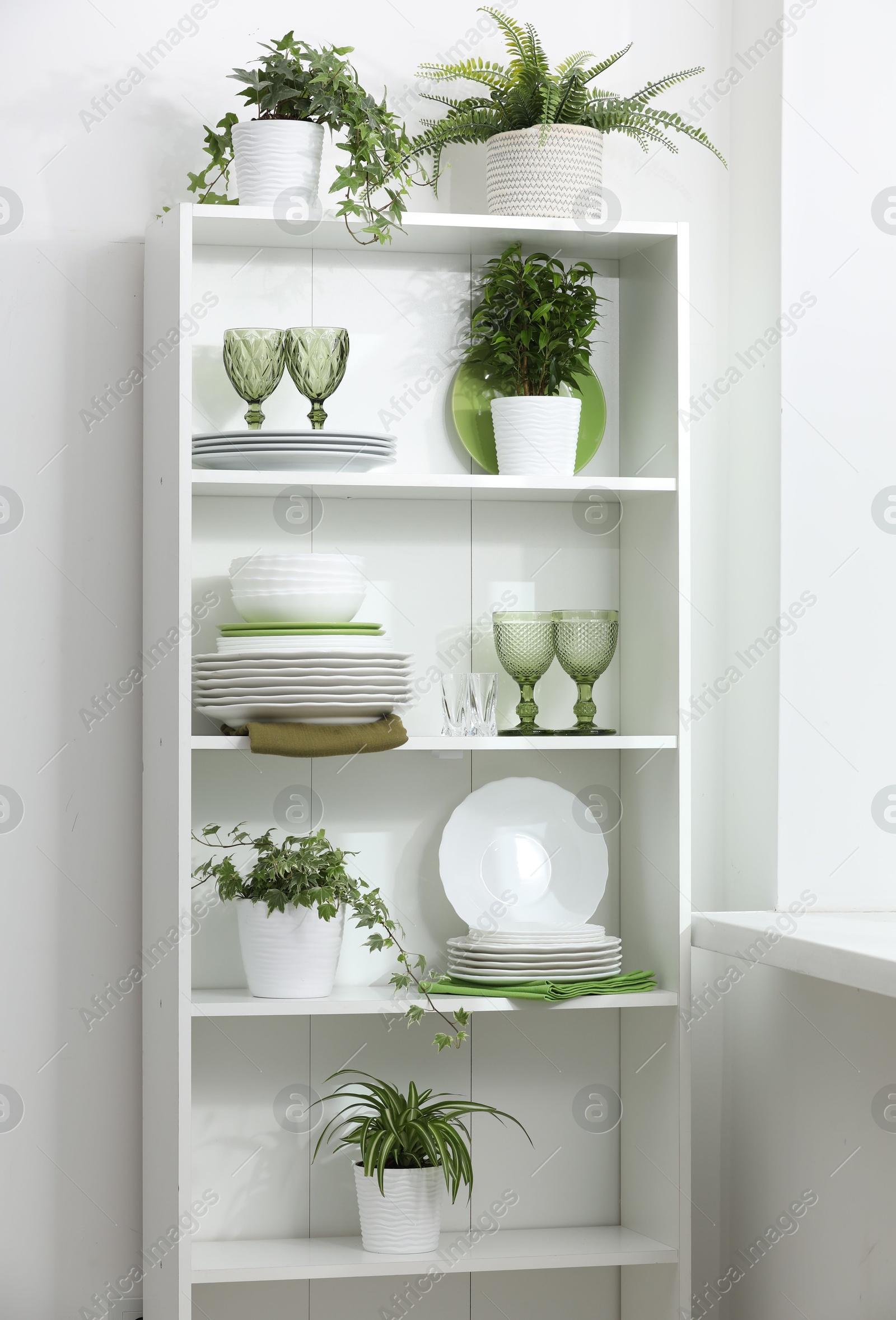 Clean glasses, plates and green houseplants on shelves near white wall indoors Photo of Clean glasses, plates and green houseplants on shelves near white wall indoors