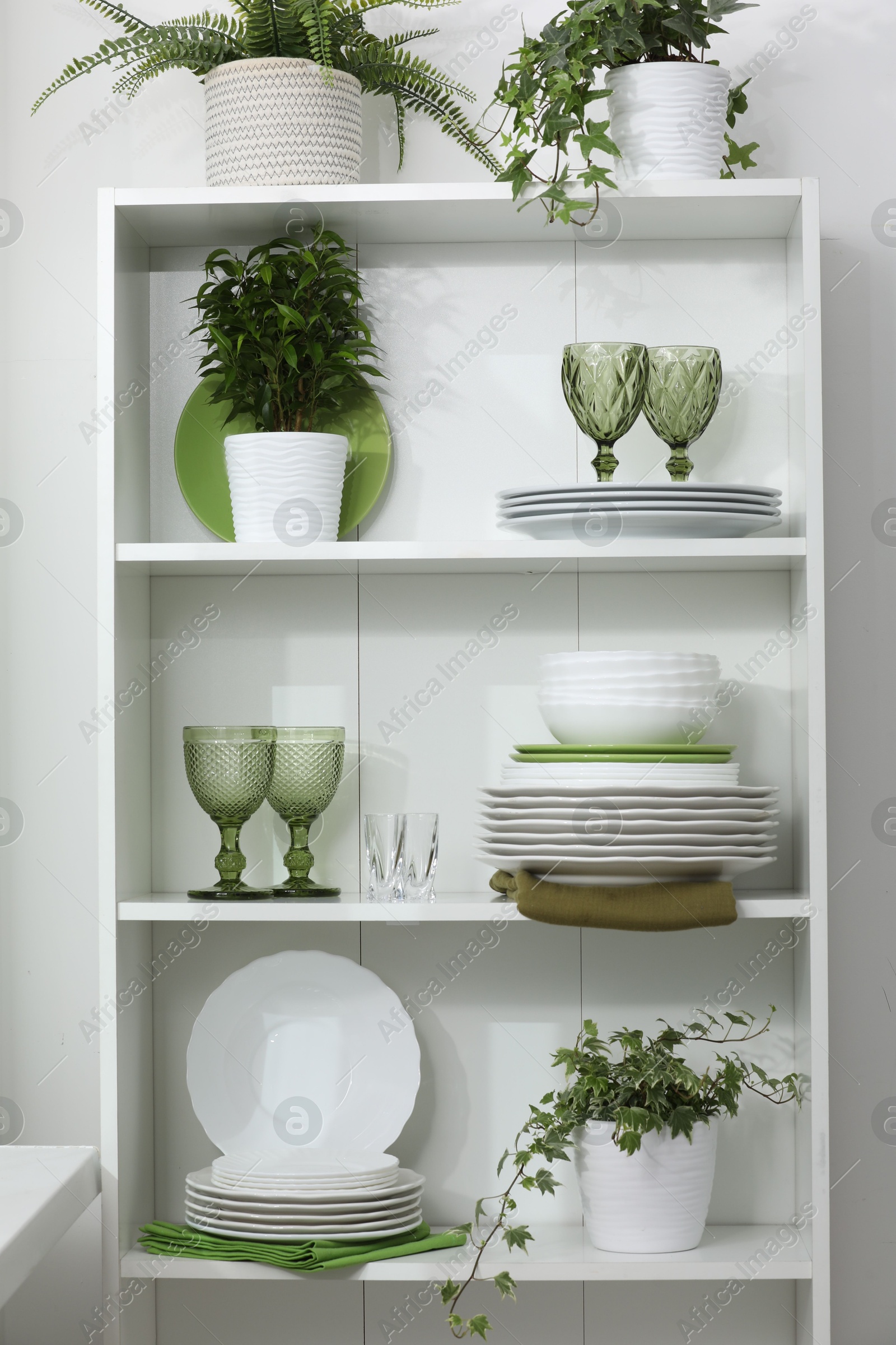 Clean glasses, plates and green houseplants on shelves near white wall indoors Photo of Clean glasses, plates and green houseplants on shelves near white wall indoors