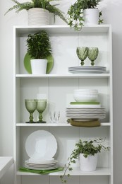 Photo of Clean glasses, plates and green houseplants on shelves near white wall indoors
