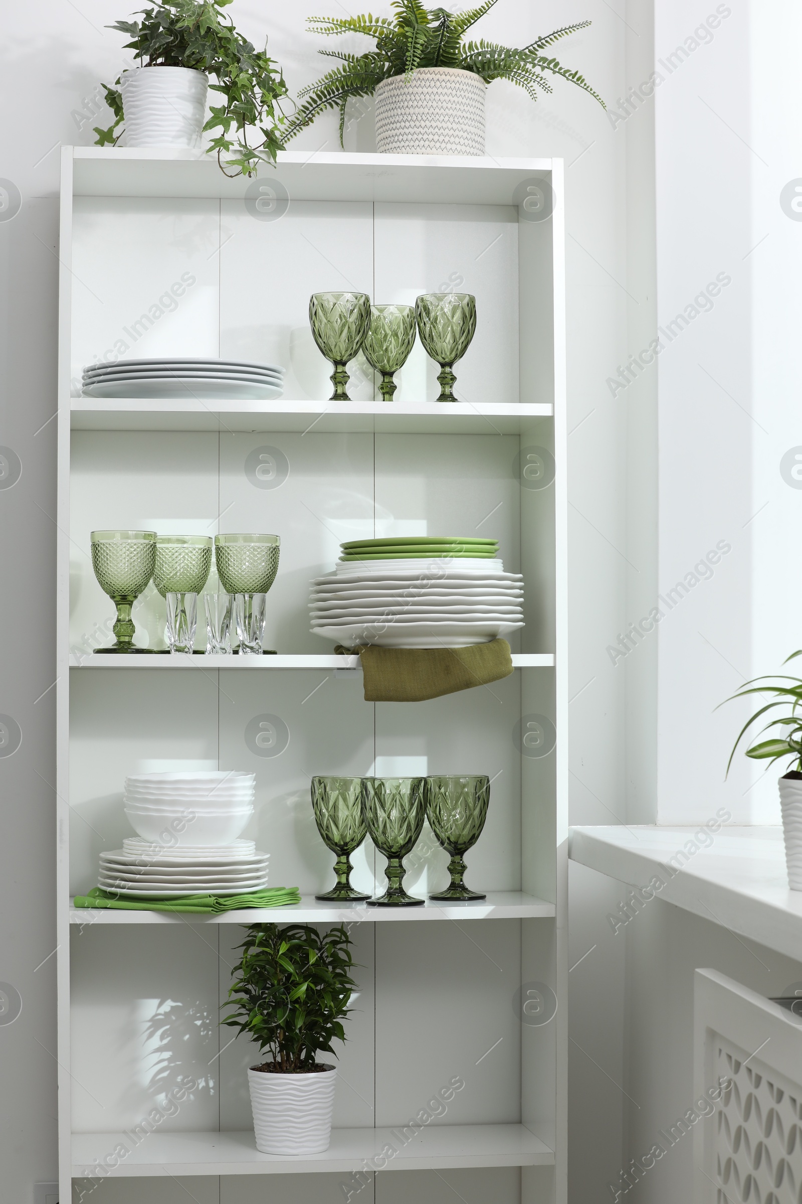 Clean glasses, plates and green houseplants on shelves near white wall indoors Photo of Clean glasses, plates and green houseplants on shelves near white wall indoors