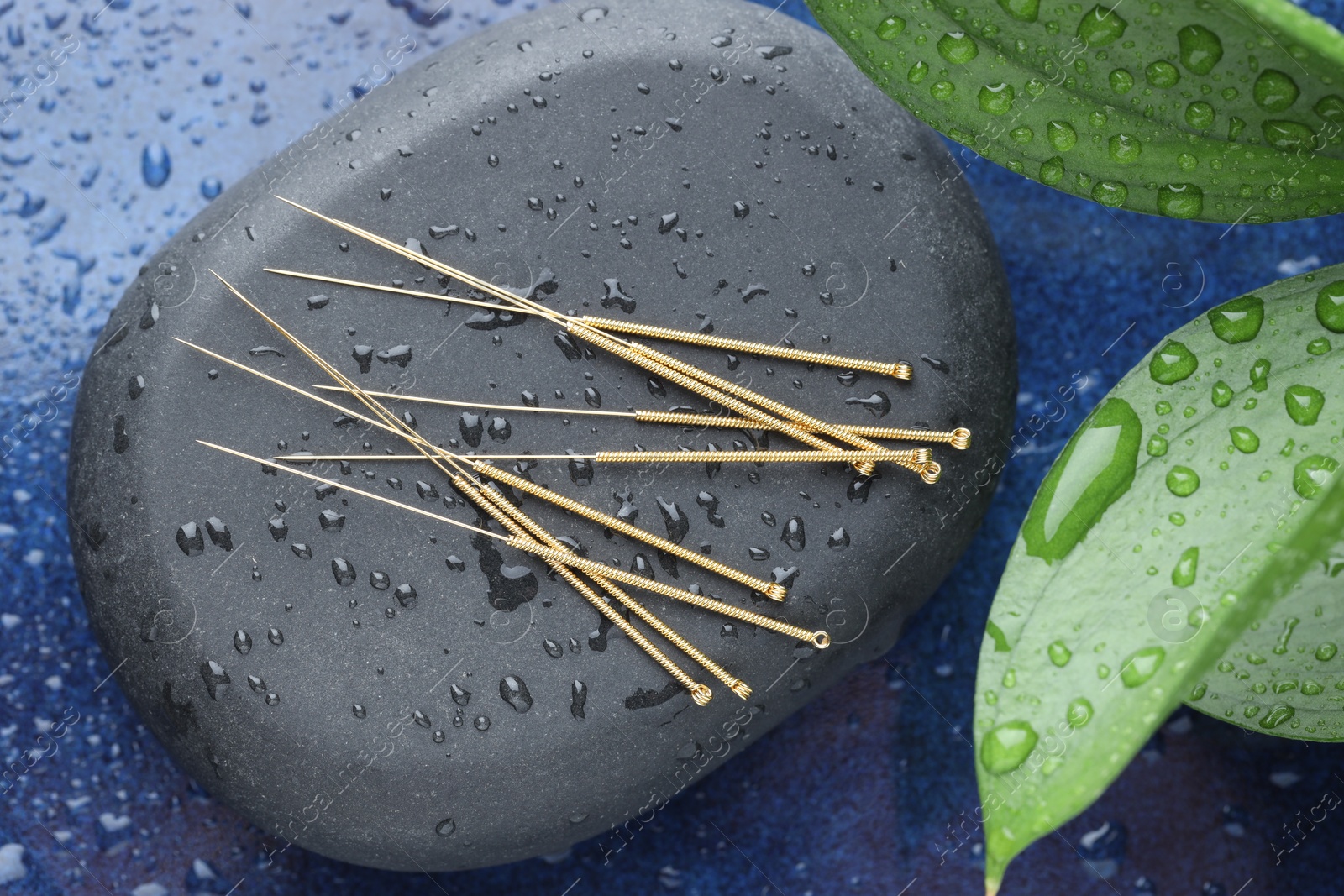Photo of Acupuncture needles, wet spa stone and leaves on blue tray, top view