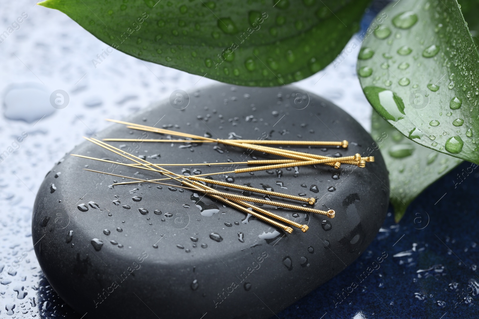 Acupuncture needles, wet spa stone and leaves on blue tray, closeup Photo of Acupuncture needles, wet spa stone and leaves on blue tray, closeup