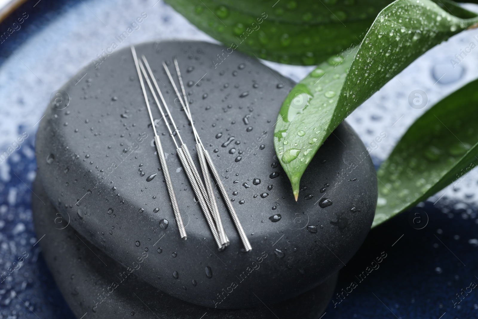 Acupuncture needles, wet spa stones and leaves on blue tray, closeup Photo of Acupuncture needles, wet spa stones and leaves on blue tray, closeup