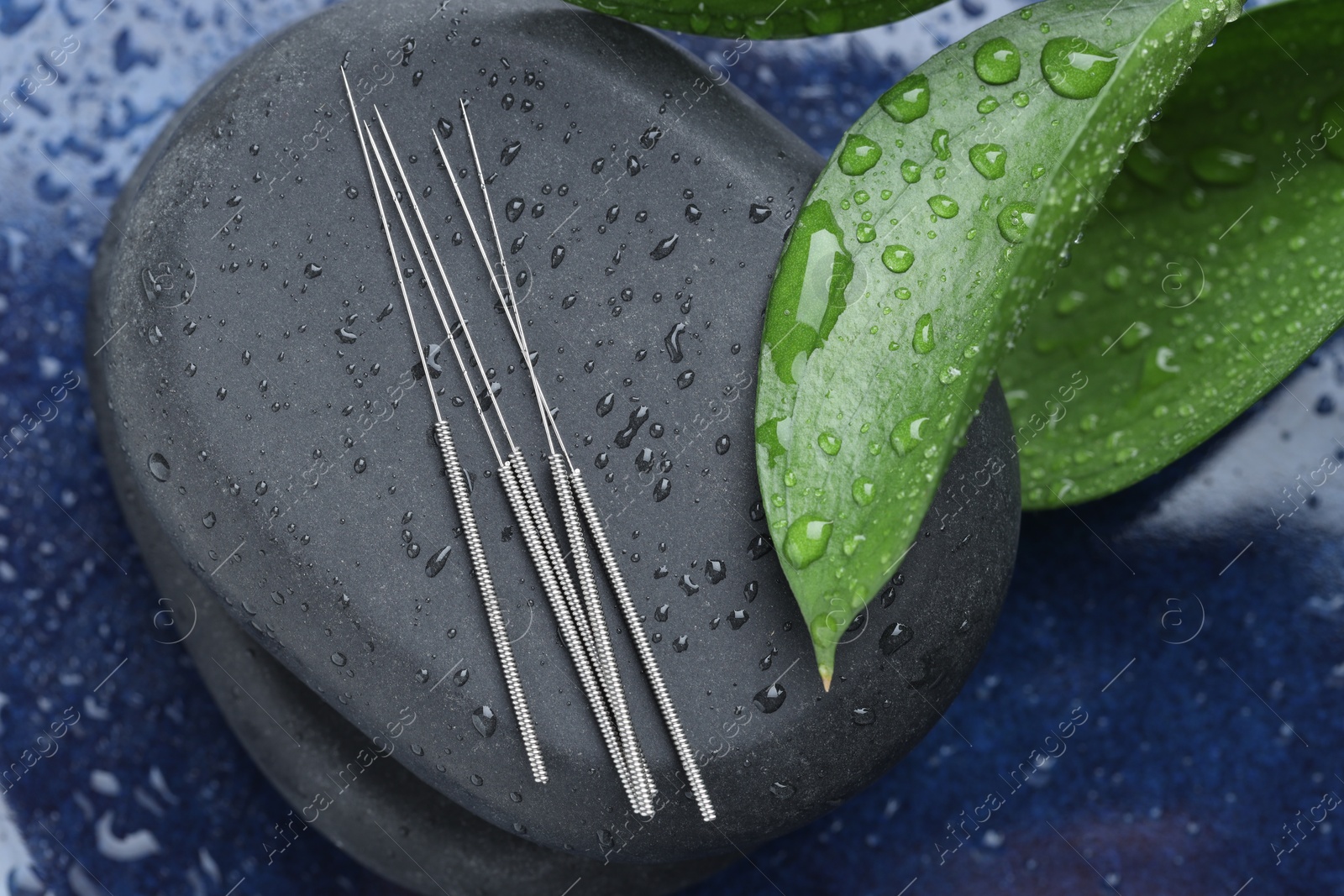 Photo of Acupuncture needles, wet spa stones and leaves on blue tray, top view