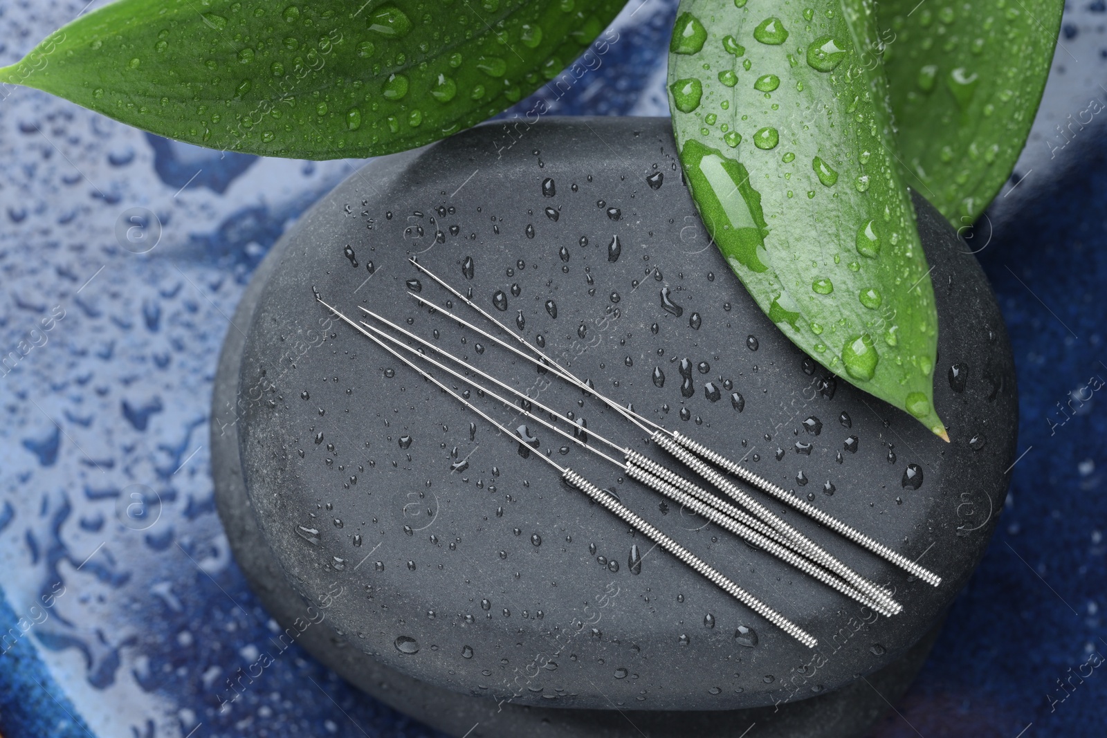 Photo of Acupuncture needles, wet spa stones and leaves on blue tray, closeup